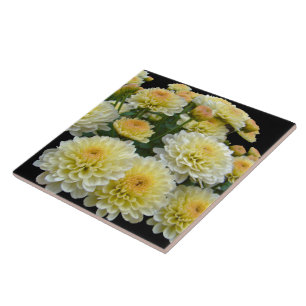 Lemon Meringue Chrysanthemums Fliese