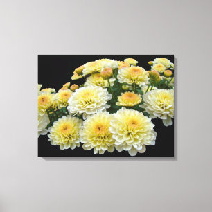 Lemon Meringue Chrysanthemums Leinwanddruck