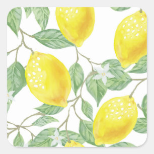 Lemon Tree Quadratischer Aufkleber