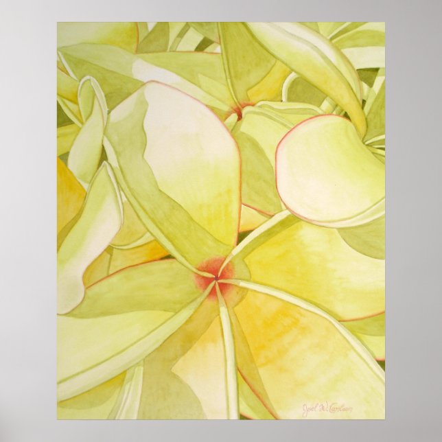 Lemon Yellow Frangipani Poster (Vorne)