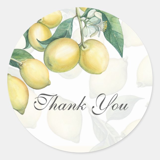 Lemon Zweig White & Yellow Country Rustic Favor Runder Aufkleber (Vorderseite)