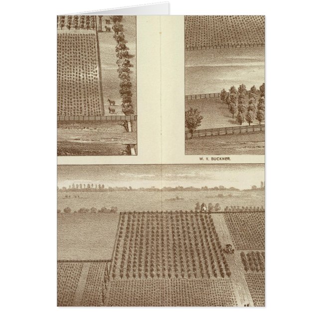 Lemoore (Vorne)