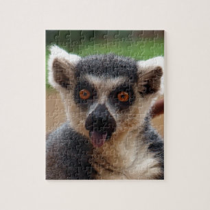 Lemur