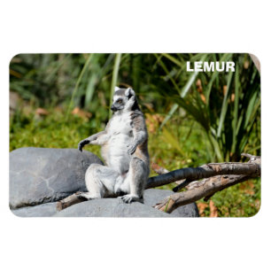 Lemur-Affe Magnet