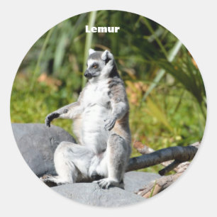 Lemur-Affe Runder Aufkleber