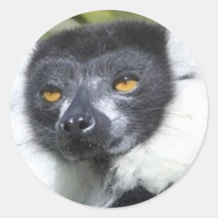 Lemur-Aufkleber Runder Aufkleber