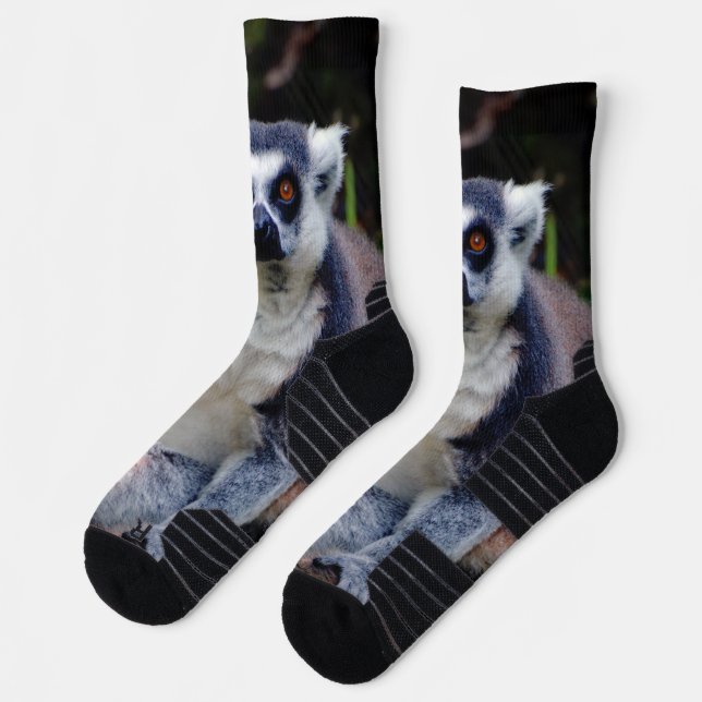 Lemur Crew Socks Socken (Links)
