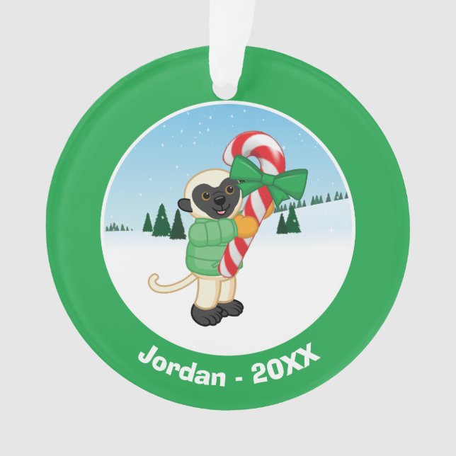 Lémur de Sifaka (devant)