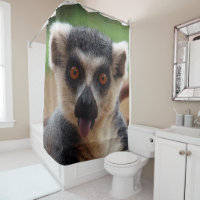 Lemur