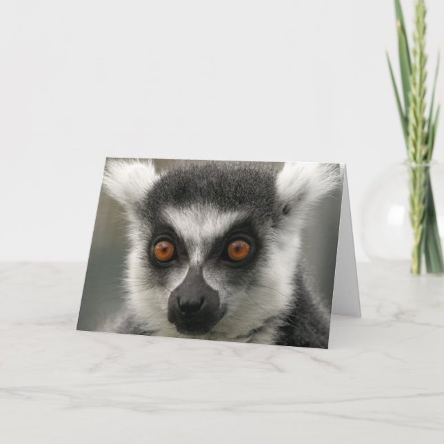 Lemur Face Grußkarte Karte (Vorderseite)