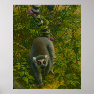 Lemur in Bloom - Umrandung-Explorer Poster