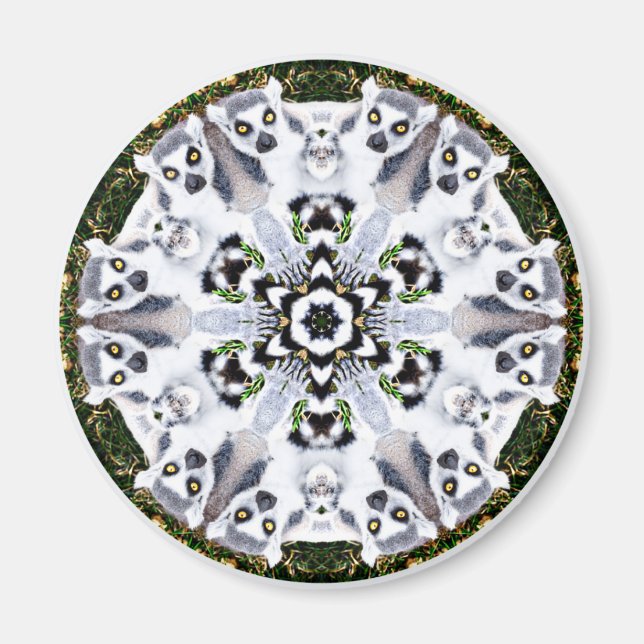 Lemur Kaleidoscope Magnet (Vorne)