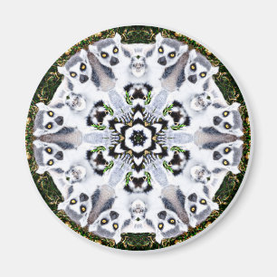 Lemur-Kaleidoskop Magnet