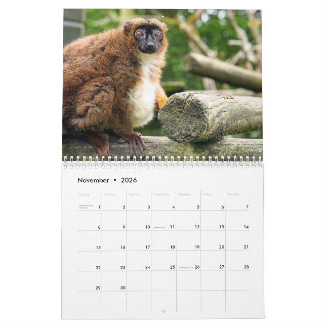 Lemur-Kalender 2025 Kalender (Nov 2026)