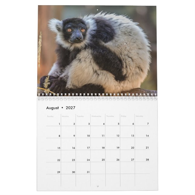 Lemur-Kalender 2025 Kalender (Aug 2027)