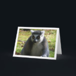 Lemur Karte<br><div class="desc">Ringseillemur Grußkarte. Sie können dieses Produkt ganz einfach kostenlos anpassen, wenn Sie Text hinzufügen oder die Farbe des Hintergrunds ändern möchten.</div>