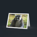 Lemur Karte<br><div class="desc">Ringseillemur Grußkarte. Sie können dieses Produkt ganz einfach kostenlos anpassen,  wenn Sie Text hinzufügen oder die Farbe des Hintergrunds ändern möchten.</div>
