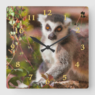 LEMUR LEISURE QUADRATISCHE WANDUHR