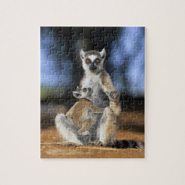 Lemur, (Lemur catta), Mutter und (Vertikal)
