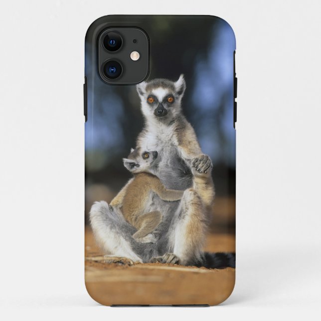 Lemur, (Lemur catta), Mutter und Case-Mate iPhone Hülle (Rückseite)