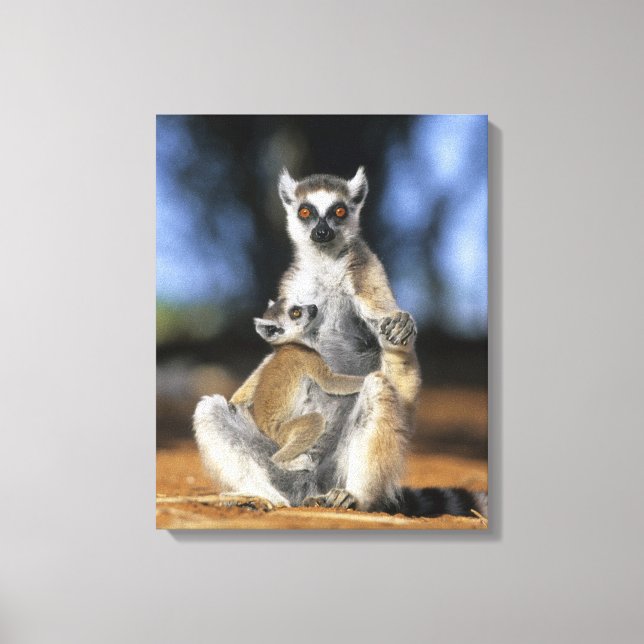 Lemur, (Lemur catta), Mutter und Leinwanddruck (Vorderseite)