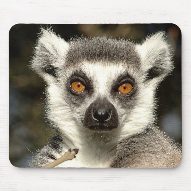 Lemur Mousepad (Vorne)