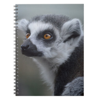 Lemur Notizblock