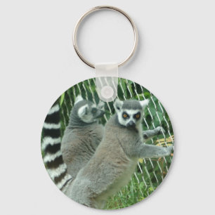 Lemur-Schlüsselanhänger Schlüsselanhänger