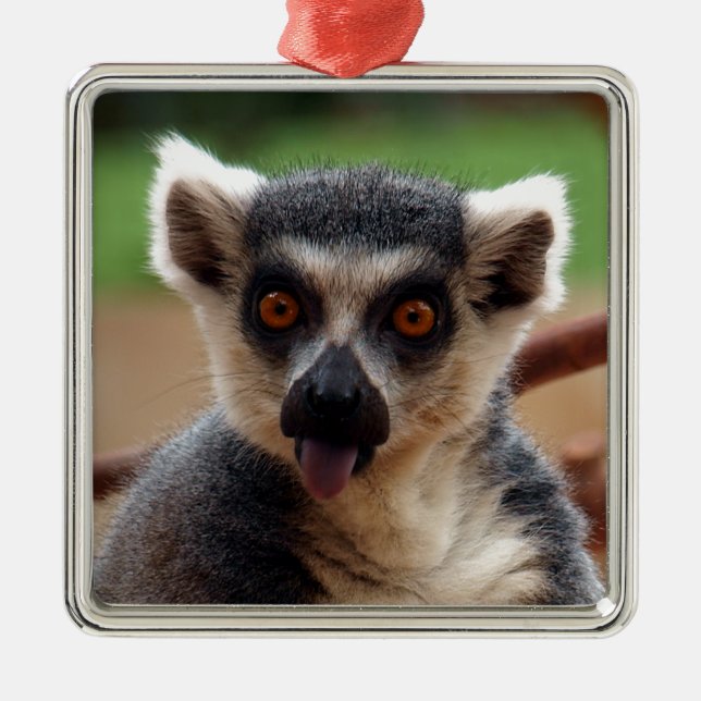 Lemur Silbernes Ornament (Vorne)
