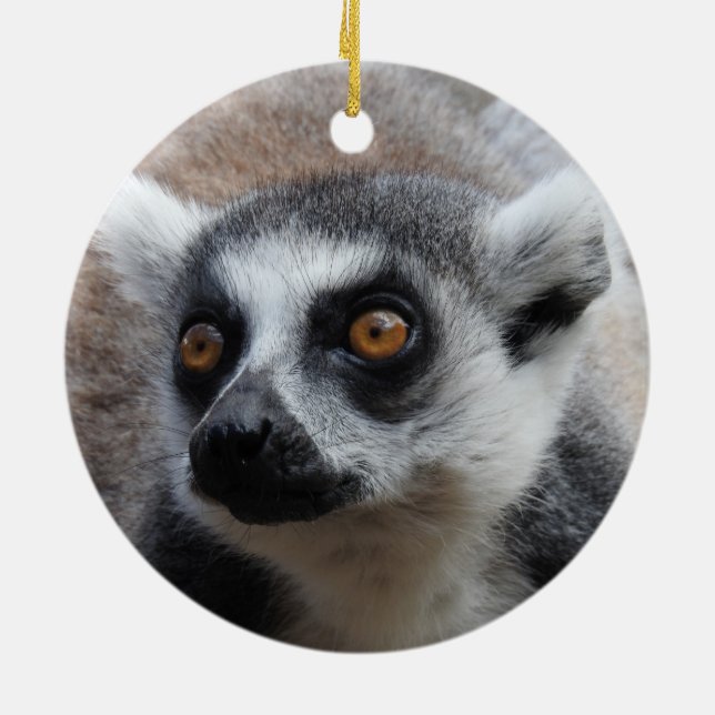 Lemur-Verzierung Keramik Ornament (Hinten)