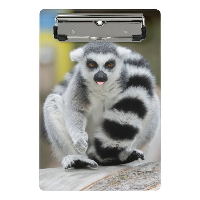 Lemur voller Persönlichkeit Mini Klemmbrett (Vorderseite)