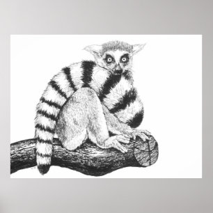 Lemur zeichnend poster