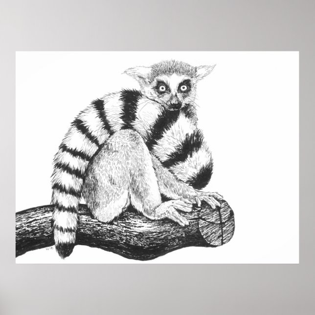 Lemur zeichnend poster (Vorne)
