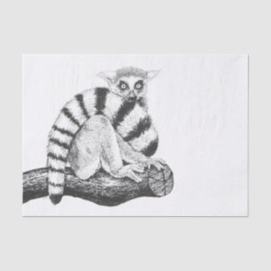 Lemur zeichnend seidenpapier
