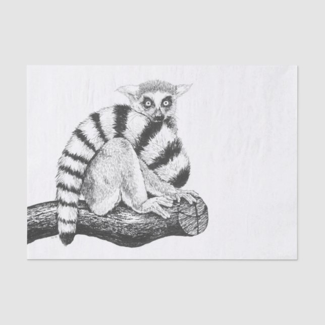 Lemur zeichnend seidenpapier (Vorderseite)