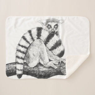 Lemur zeichnend sherpadecke
