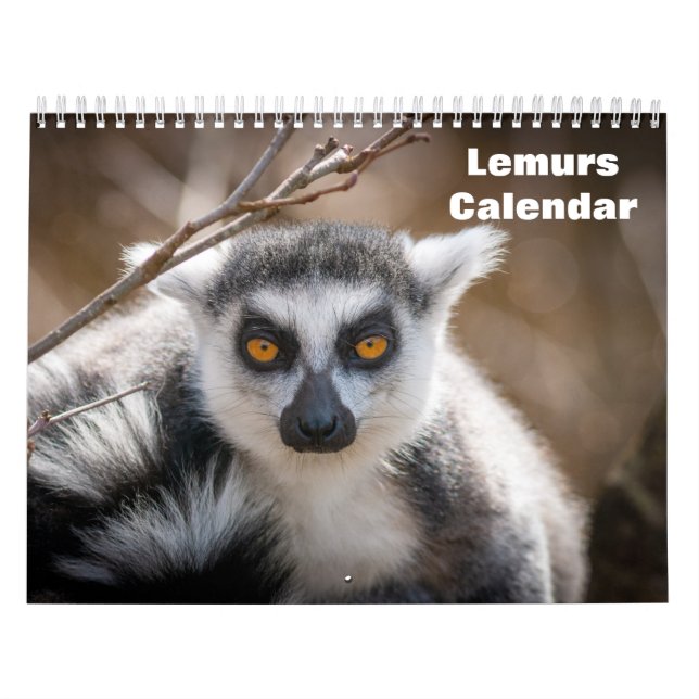 Lemuren 2027 kalender (Titelbild)