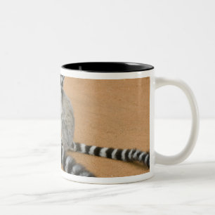 Lemuren, Ringelschwanz, Berenty Zweifarbige Tasse