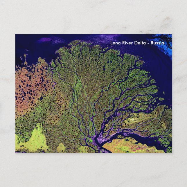 Lena River Delta aus dem Weltraum - Russland Postkarte (Vorderseite)