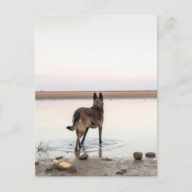 Lenden Postkarte (Vorderseite)