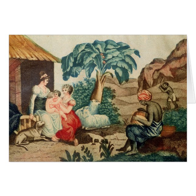 L'enfance de Paul et de Virginie (Devant horizontal)