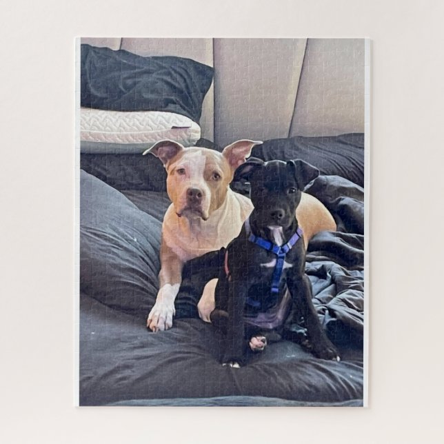 Lenguaje-Tier (Vertikal)