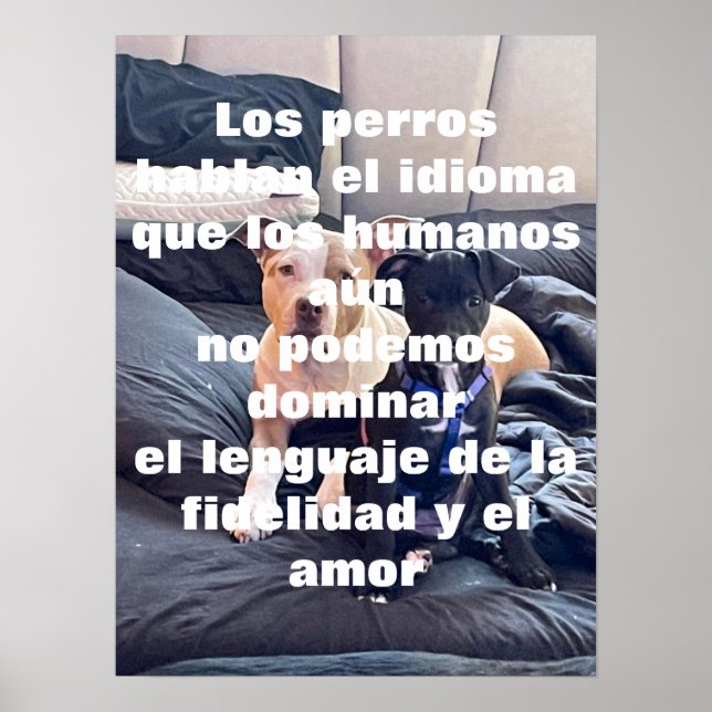 Lenguaje-Tier Poster (Vorne)