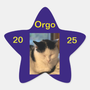 Lenny Sticker