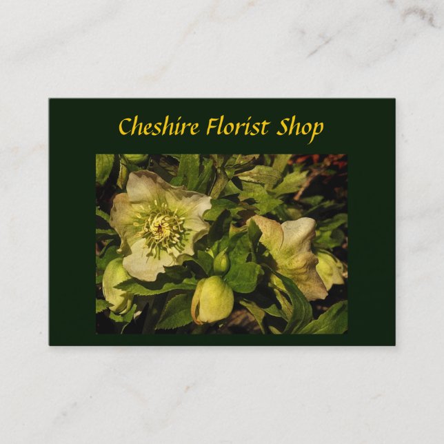 Lenten Rose Hellebore Florist Visitenkarte (Vorderseite)
