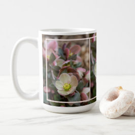 Lenten Rose Nah Kaffeetasse