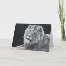 Leo, Afrikanischer Löwe, Tierkarton
