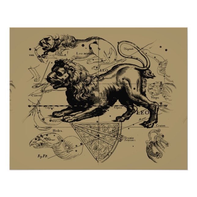 Leo Constellation Hevelius 1690 Juli 23 August 22 Fotodruck (Vorne)