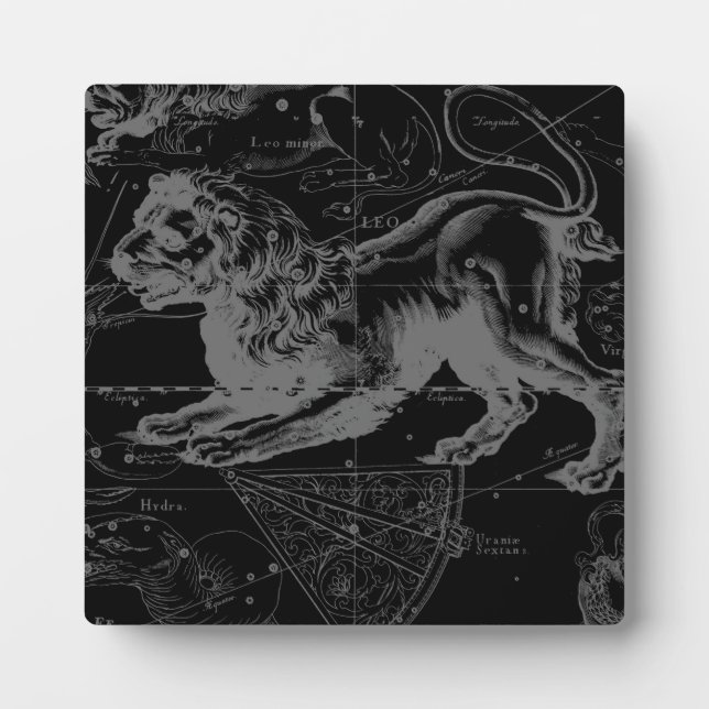 Leo Constellation Hevelius 1690 Juli 23 - August 2 Fotoplatte (Vorderseite)