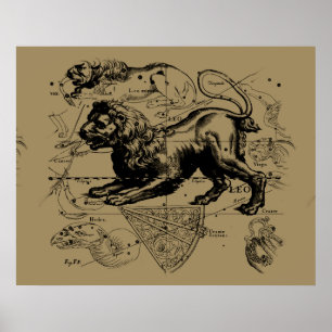 Leo Constellation Hevelius 1690 Juli 23 - August 2 Poster